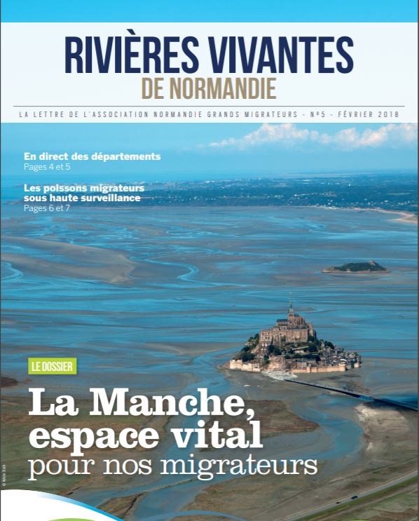 Poissons migrateurs journal Manche