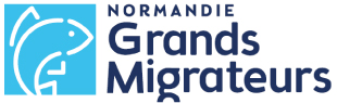 Normandie grands migrateurs