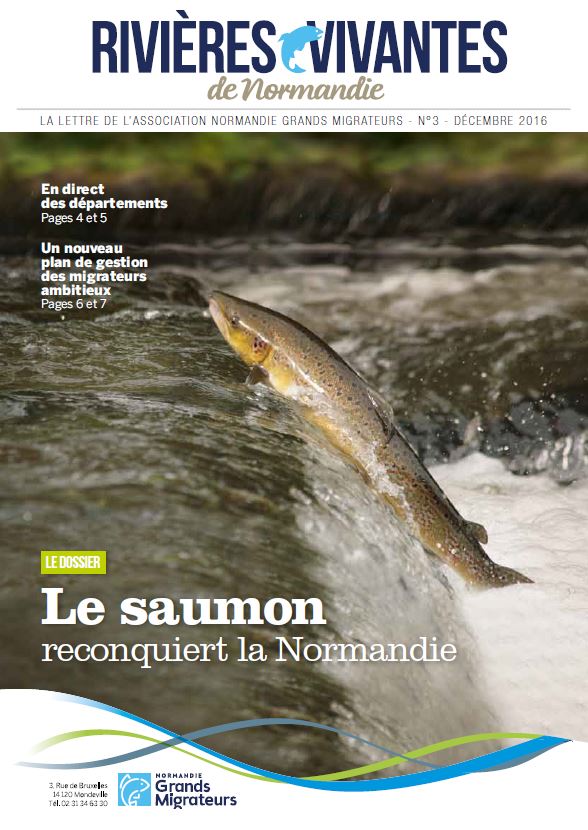 couverture le la lettre de NGM